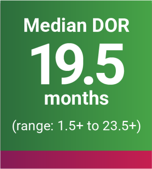 Median DOR 19.5 months (range: 1.5+ to 23.5+)